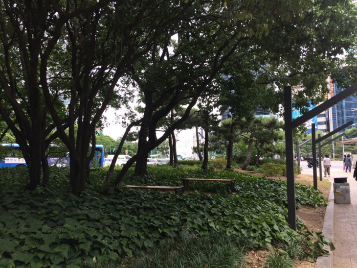 ����װŸ� ��ó Ⱦ�ܺ��� ��, ������� Ǯ�� ���̿� �ִ� ��ġ ���