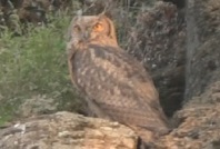 ��ȣ�� �������� �����ξ���