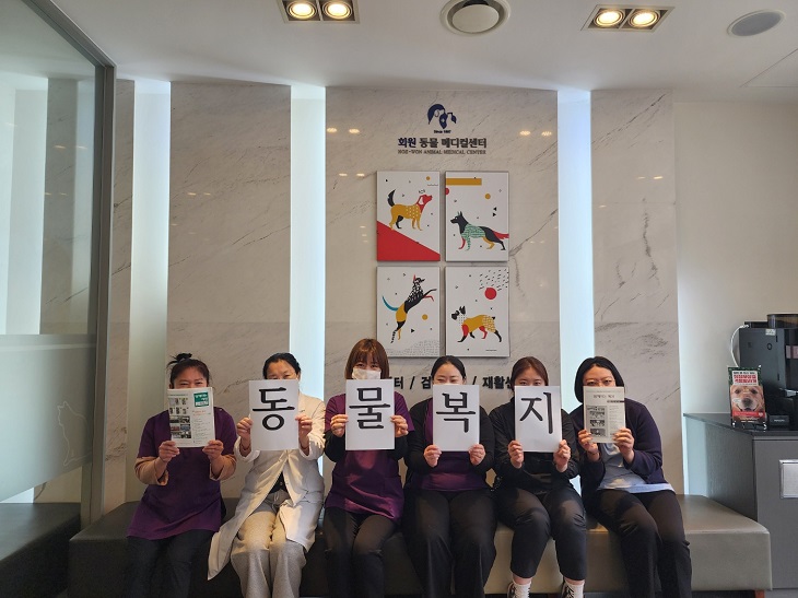 �������� ���� ����