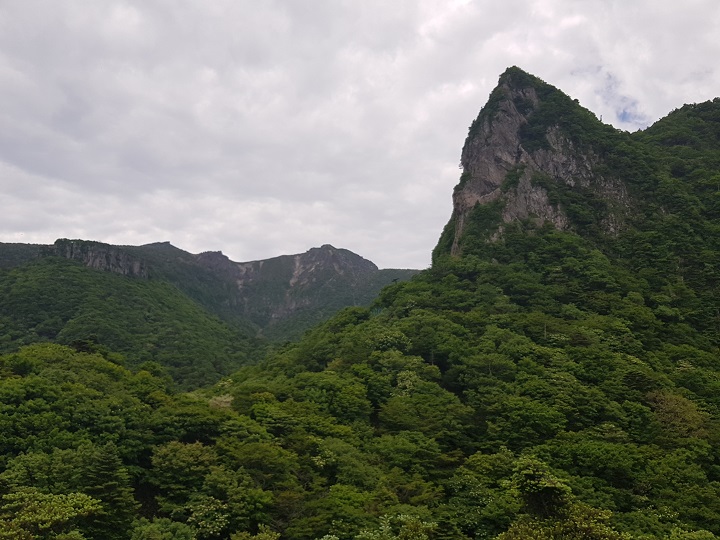 ������ �ڽ� �񰫺�