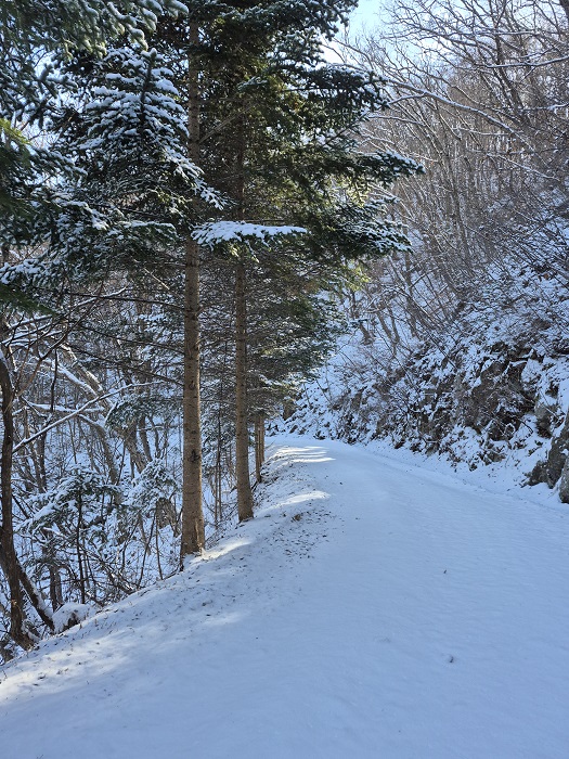 �� ���� �ӵ�