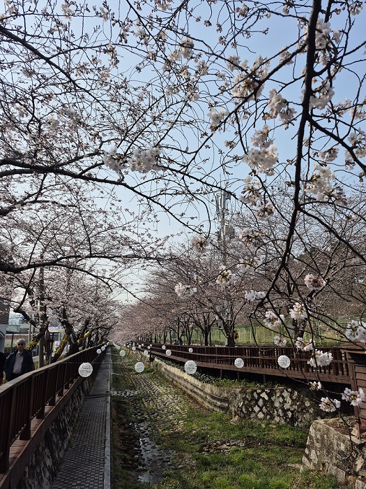 ���� ������